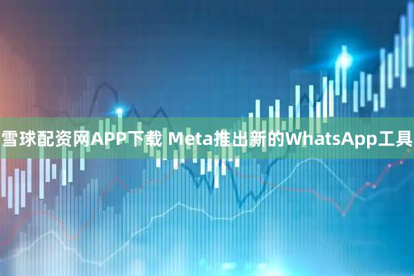 雪球配资网APP下载 Meta推出新的WhatsApp工具